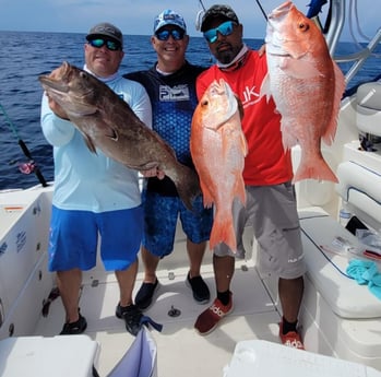 Red Grouper, Red Snapper fishing in South Padre Island, Texas