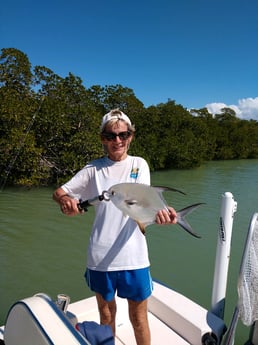 Little Tunny / False Albacore fishing in Naples, Florida