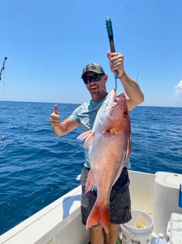 Red Snapper Fishing in Destin, Florida