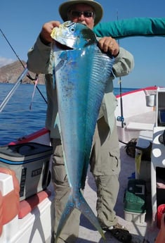 Mahi Mahi / Dorado fishing in Loreto Baja California Sur, Mexico