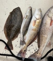 Flounder, Redfish, Speckled Trout Fishing in Galveston, Texas