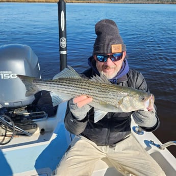 Hybrid Striped Bass Fishing in Trails End Road, Wilmington, N, North Carolina