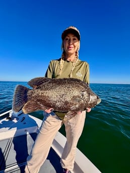 Fishing in Sarasota, Florida