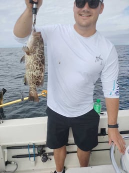 Black Grouper Fishing in Jacksonville, Florida