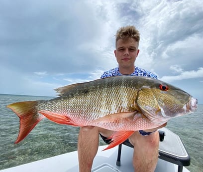 Mutton Snapper Fishing in Miami, Florida