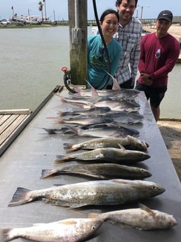 Speckled Trout / Spotted Seatrout, Hardhead Catfish fishing in Surfside Beach, Texas