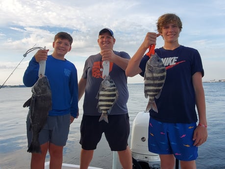 Black Drum, Sheepshead fishing in Mount Pleasant, South Carolina