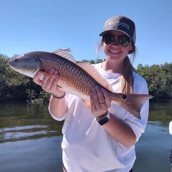 Redfish Fishing in Crystal River, Florida