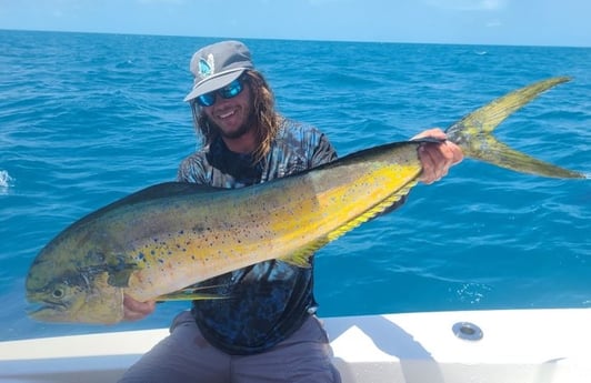 Mahi Mahi / Dorado fishing in Marathon, Florida