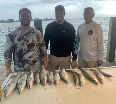 Speckled Trout / Spotted Seatrout fishing in Galveston, Texas