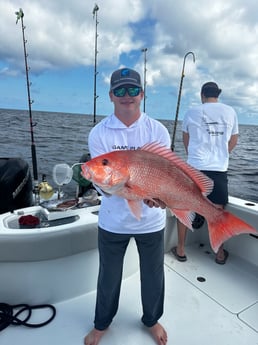 Red Snapper Fishing in Destin, Florida