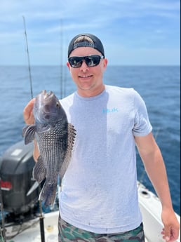 Black Seabass fishing in Mount Pleasant, South Carolina