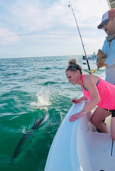 Tarpon Fishing in Tampa, Florida