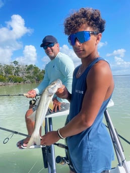 Tarpon fishing in Tavernier, Florida