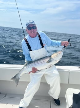 Striped Bass fishing in Montauk, Suffolk County