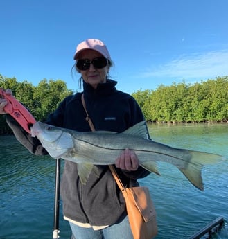 Snook Fishing in Key Largo, Florida