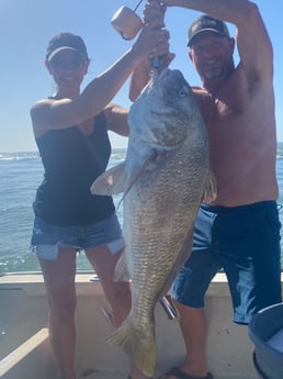 Black Drum fishing in Galveston, Texas