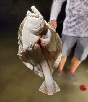 Flounder Fishing in Rio Hondo, Texas