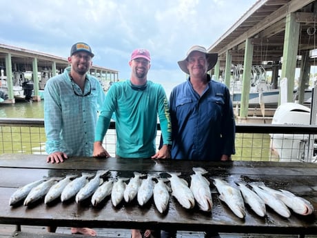 Speckled Trout / Spotted Seatrout fishing in Galveston, Texas