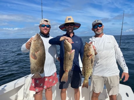 Fishing in Bradenton, Florida