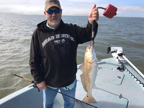 Redfish Fishing in Matagorda, Texas