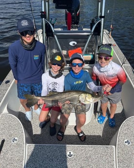 Snook fishing in Holmes Beach, Florida