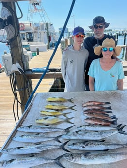 Mahi Mahi, Mangrove Snapper, Spanish Mackerel Fishing in Orange Beach, Alabama