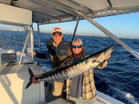 Wahoo fishing in Pompano Beach, Florida