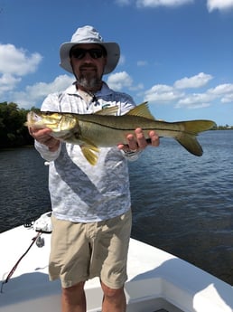 Redfish fishing in Fort Myers, Florida