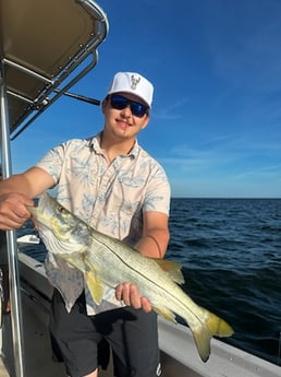 Fishing in Sarasota, Florida