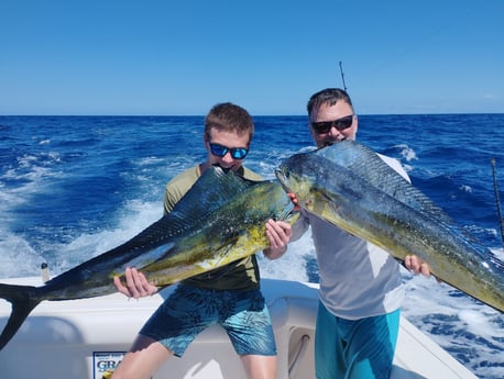 Mahi Mahi Fishing in Playa Flamingo, Costa Rica