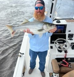 Striped Bass Fishing in Little River, South Carolina