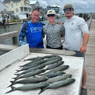 Bluefish Fishing in Beaufort, North Carolina