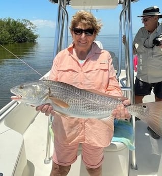 Redfish Fishing in Tampa, Florida