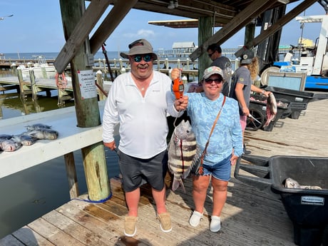 Sheepshead Fishing in Gulf Shores, Alabama