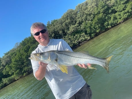 Snook fishing in Clearwater, Florida