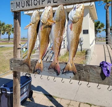 Redfish fishing in Rockport, Texas