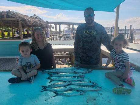 King Mackerel / Kingfish, Spanish Mackerel fishing in Orange Beach, Alabama