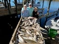 Fishing in New Orleans, Louisiana