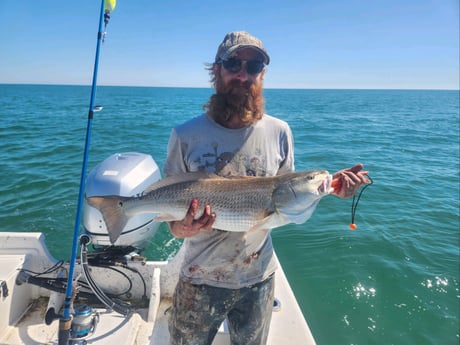 Redfish Fishing in Beaufort, North Carolina