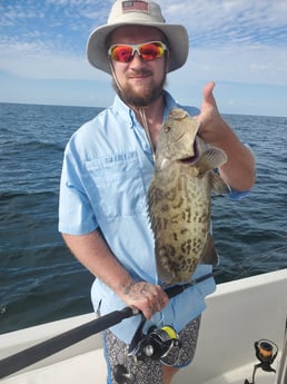 Gag Grouper fishing in St. Petersburg, Florida