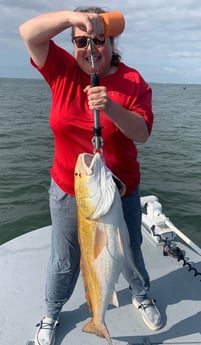 Redfish fishing in Port O&#039;Connor, Texas