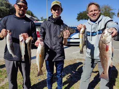 Redfish, Sheepshead, Speckled Trout / Spotted Seatrout fishing in Jacksonville, Florida