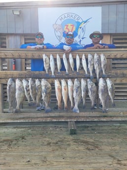 Black Drum, Redfish fishing in Corpus Christi, Texas