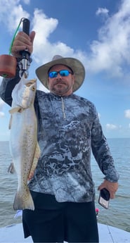 Speckled Trout / Spotted Seatrout fishing in Matagorda, Texas