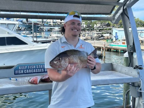 Mangrove Snapper Fishing in Destin, Florida