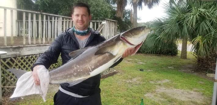 Cobia fishing in Jacksonville, Florida