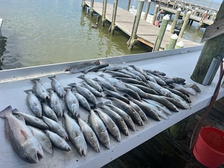 Fishing in Gulf Shores, Alabama