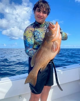 Red Grouper fishing in Islamorada, Florida