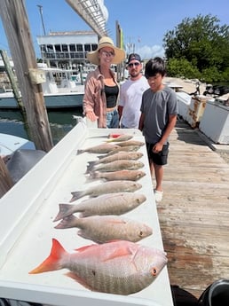 Fishing in Marathon, Florida